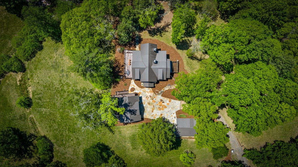 Cherry Log, Georgia, 30522, United States, 5 Bedrooms Bedrooms, ,5 BathroomsBathrooms,Residential,Active,2045528