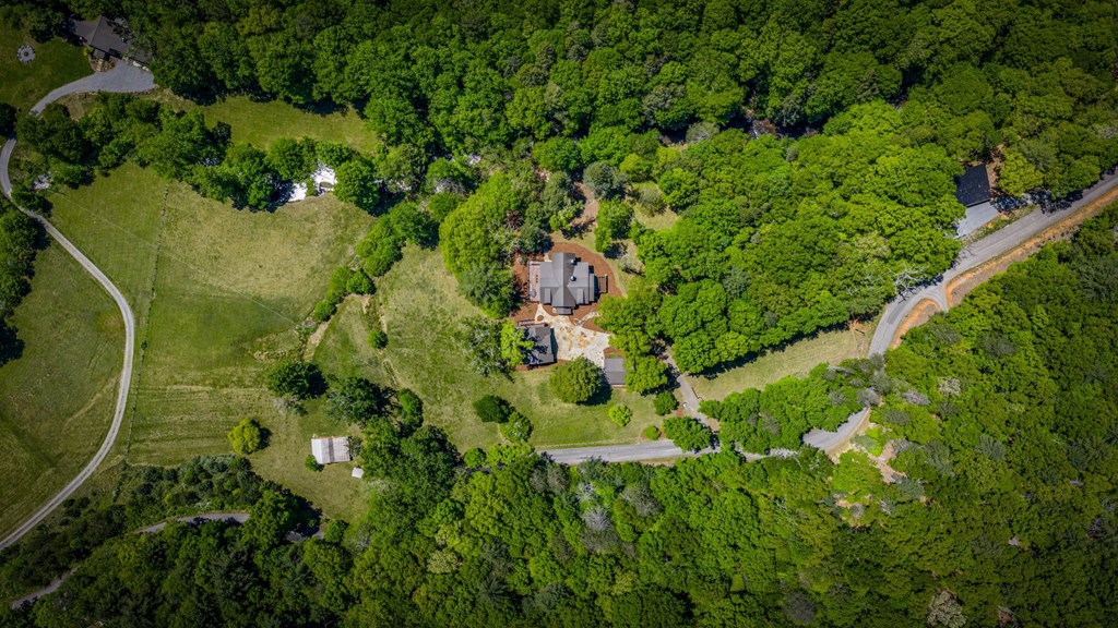 Cherry Log, Georgia, 30522, United States, 5 Bedrooms Bedrooms, ,5 BathroomsBathrooms,Residential,Active,2045528