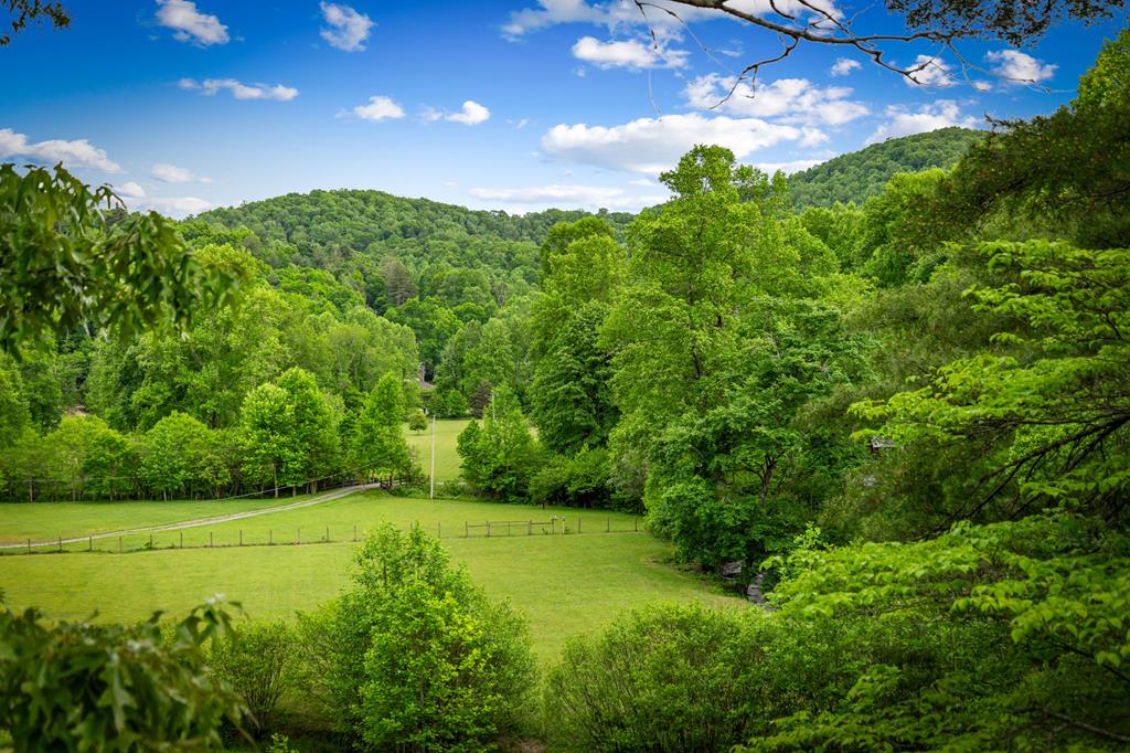 Cherry Log, Georgia, 30522, United States, 5 Bedrooms Bedrooms, ,5 BathroomsBathrooms,Residential,Active,2045528