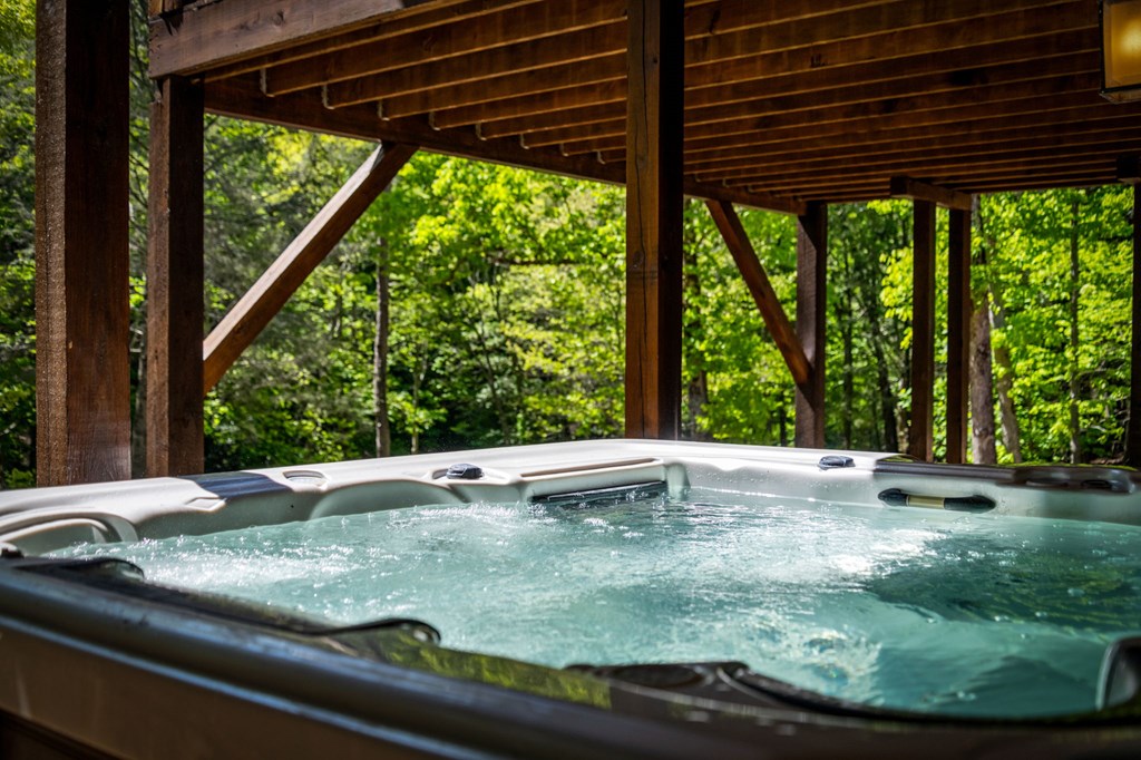 Cherry Log, Georgia, 30522, United States, 5 Bedrooms Bedrooms, ,5 BathroomsBathrooms,Residential,Active,2045528