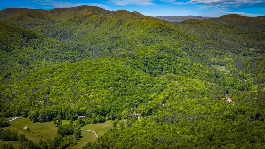 Cherry Log, Georgia, 30522, United States, 5 Bedrooms Bedrooms, ,5 BathroomsBathrooms,Residential,Active,2045528