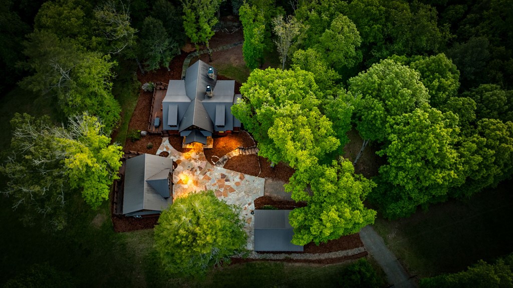 Cherry Log, Georgia, 30522, United States, 5 Bedrooms Bedrooms, ,5 BathroomsBathrooms,Residential,Active,2045528