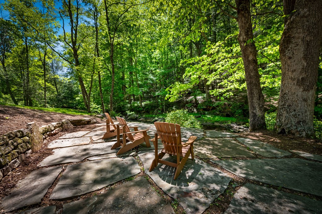 Cherry Log, Georgia, 30522, United States, 5 Bedrooms Bedrooms, ,5 BathroomsBathrooms,Residential,Active,2045528