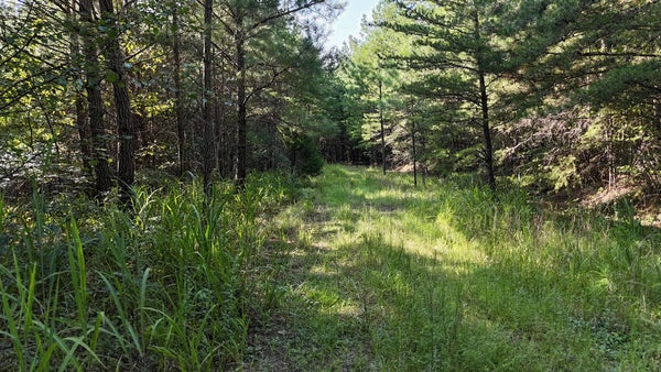 00 DASALI WAY, MURPHY, NC 28906 - Image 583232ea48a00d957d1205e82fa4c2ef/3053361684