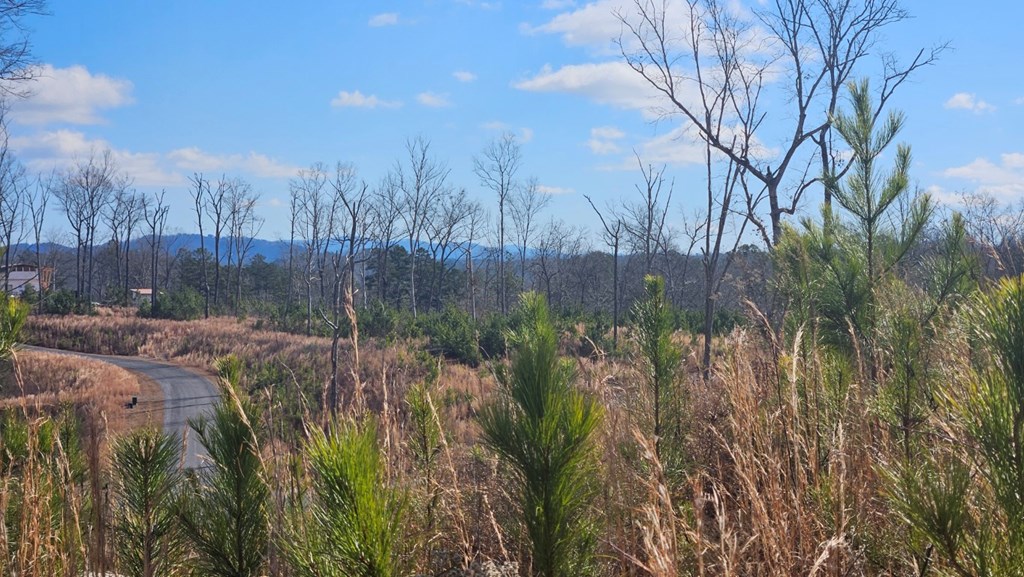 Lot 197 Oak Wood Lane