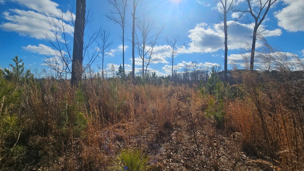 Lot 197 Oak Wood Lane