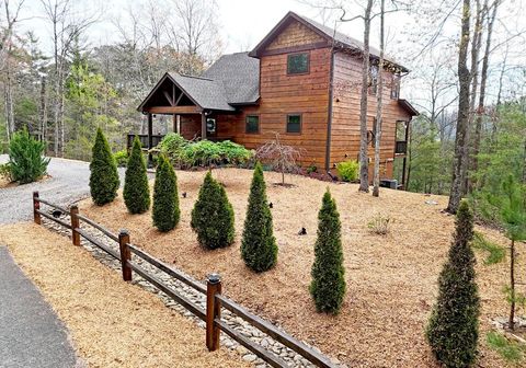 A home in Mineral Bluff