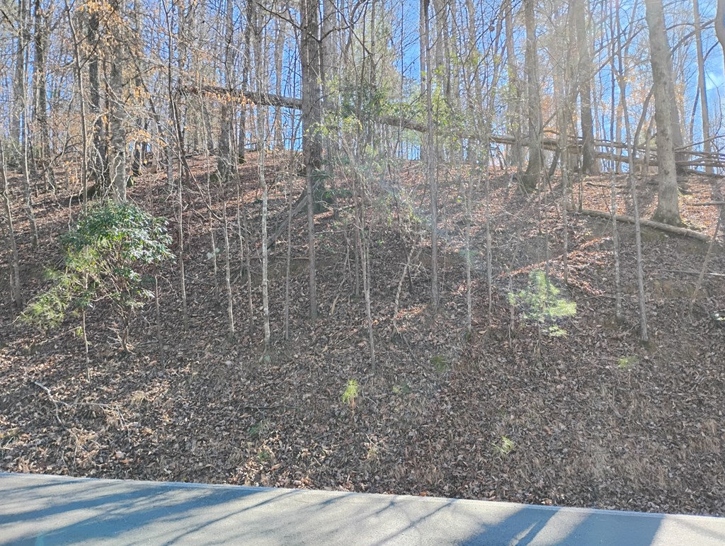 Lt 2090R Newport Drive