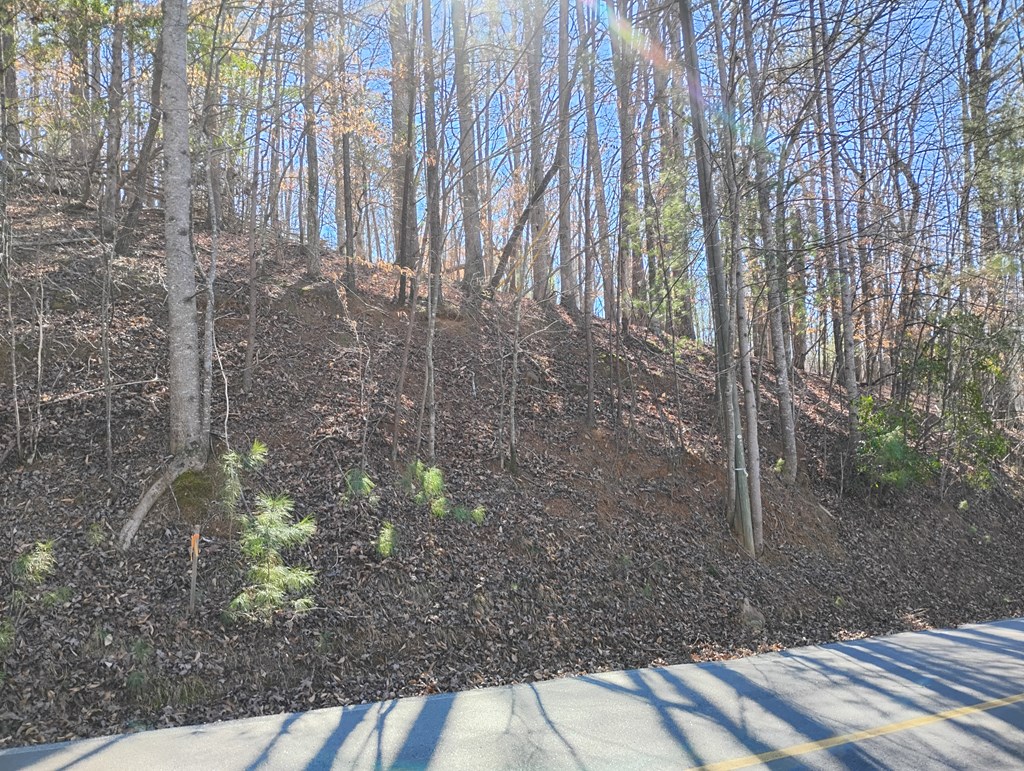 Lt 2090R Newport Drive