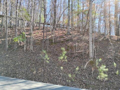 Lt 2090R Newport Drive Ellijay GA 30540