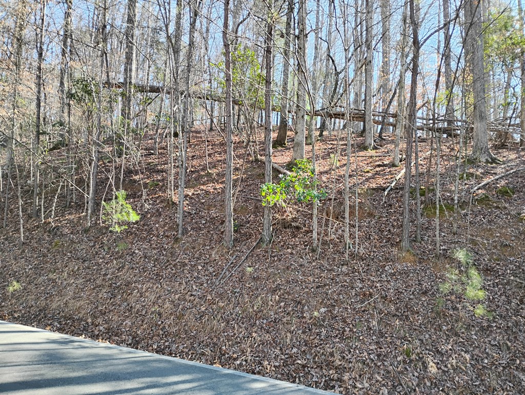 Lt 2090R Newport Drive