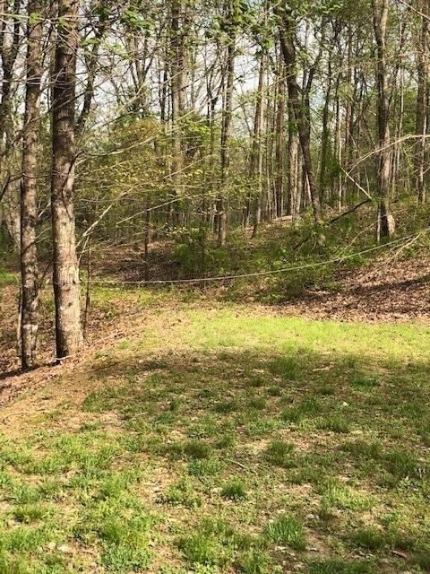 LT 17B Lakeland Drive Ellijay GA 30540