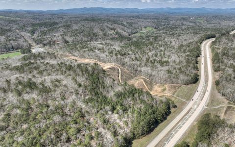 0 Hwy 515 Ellijay GA 30540