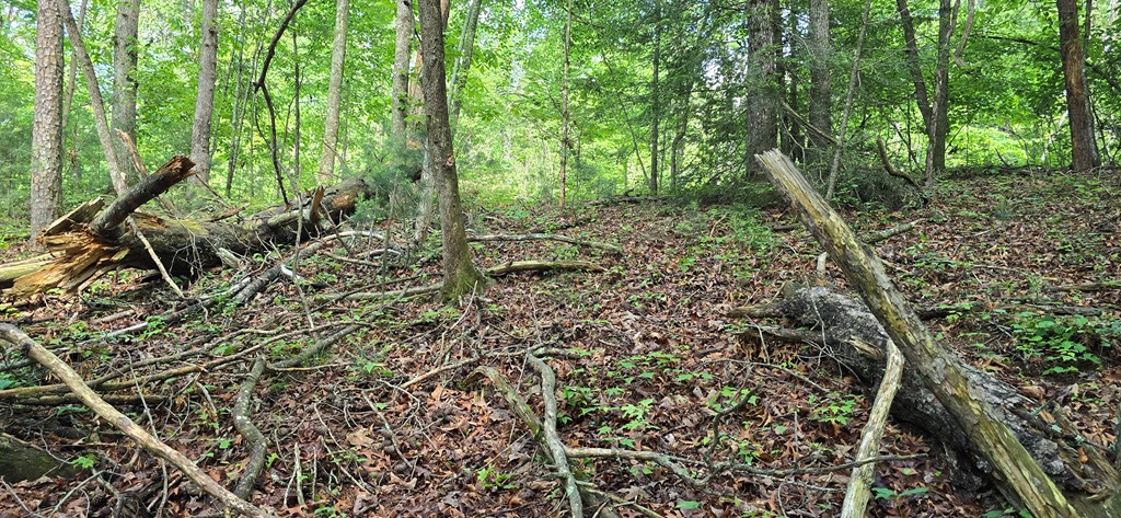 Lot 3760 Graham Court