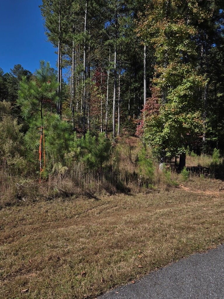 Lot 132 Sandy Lake Lane
