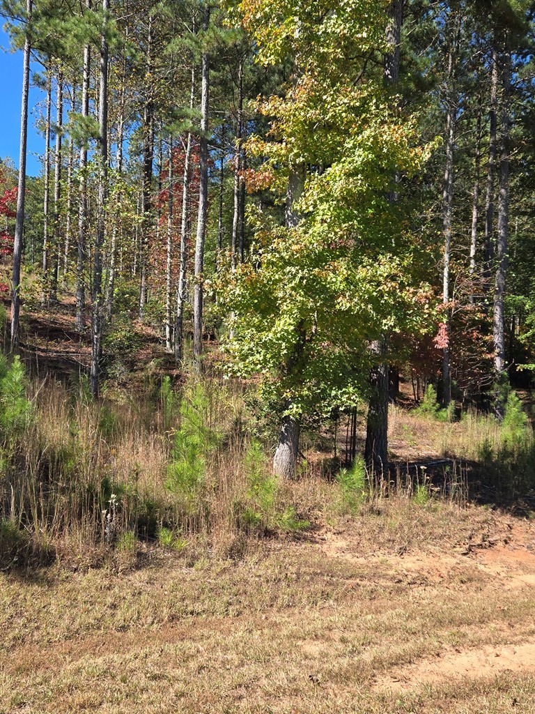 Lot 132 Sandy Lake Lane