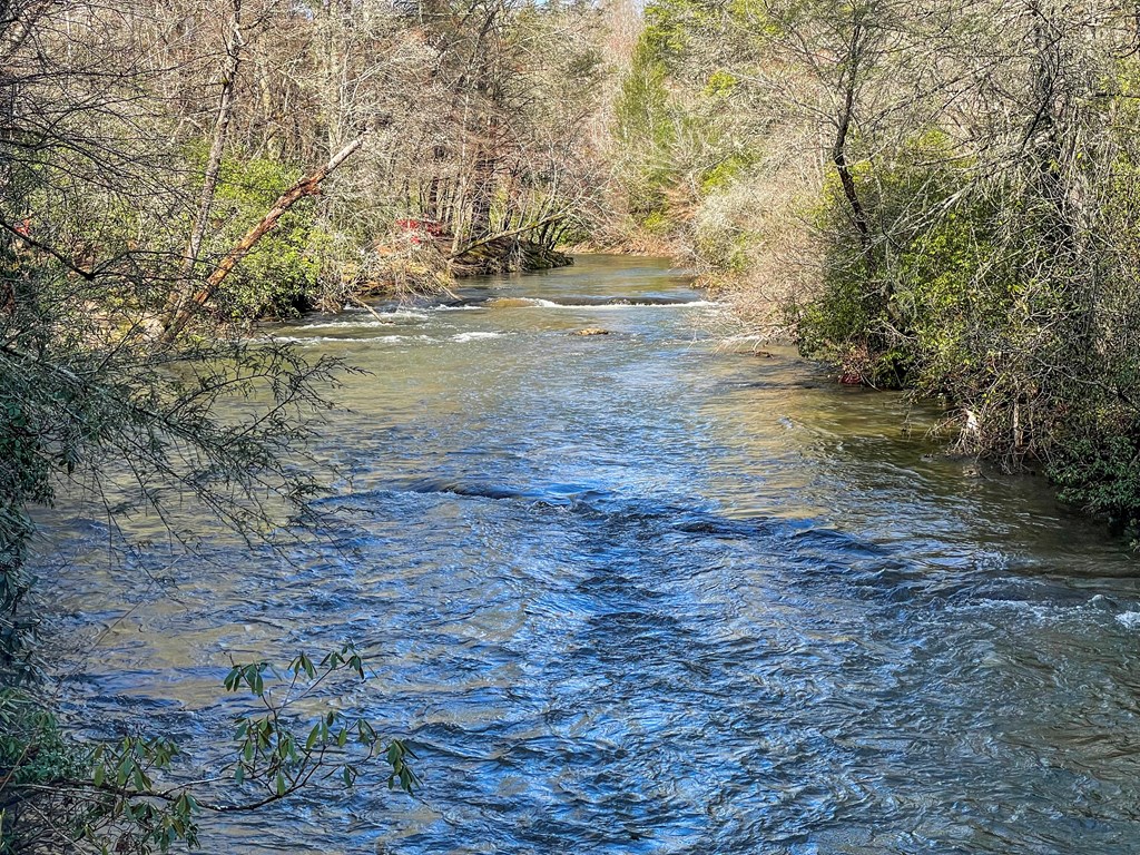 11 Ivy Overlook