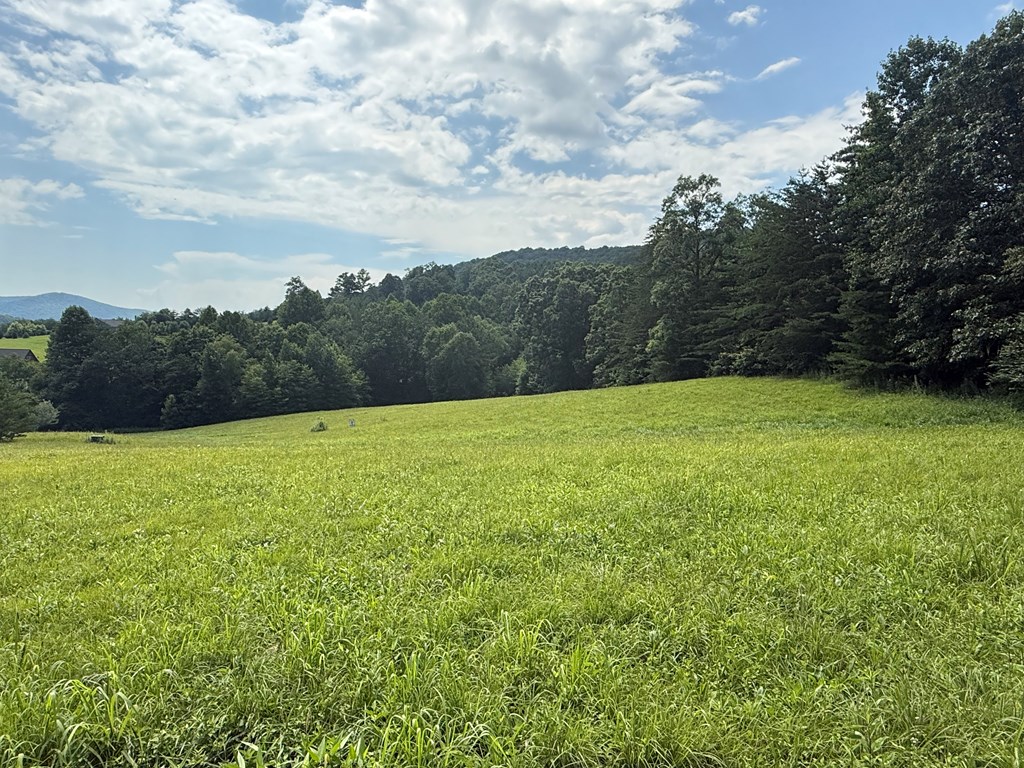 Lot 52 The Preserve At Cc