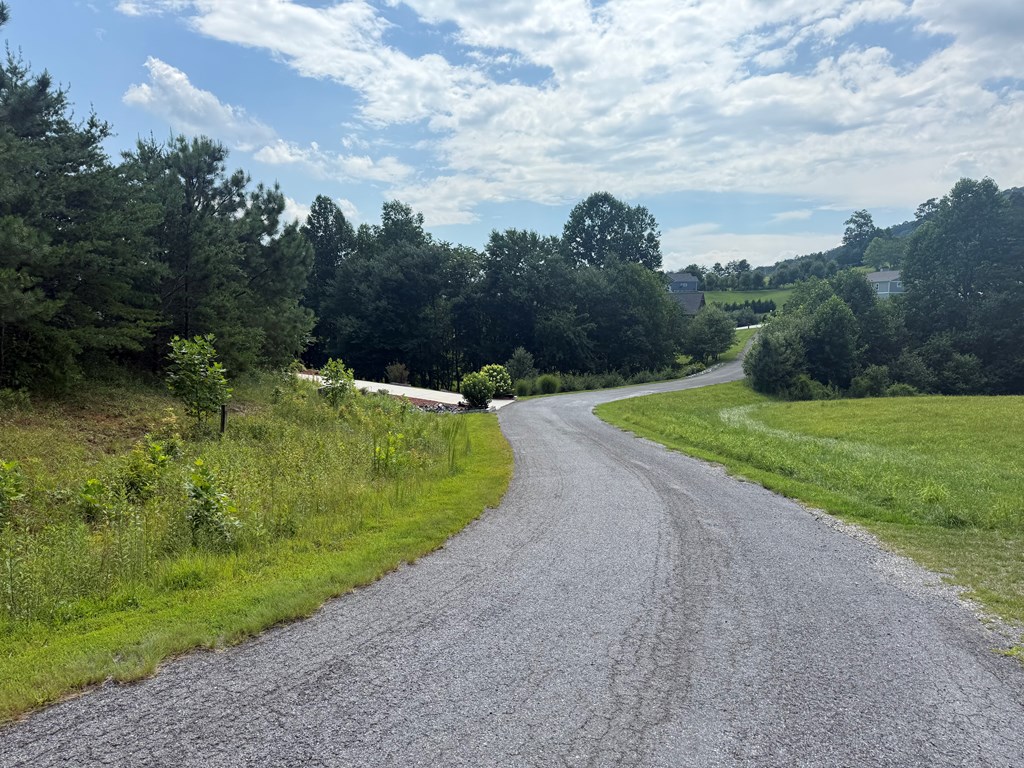 Lot 52 The Preserve At Cc