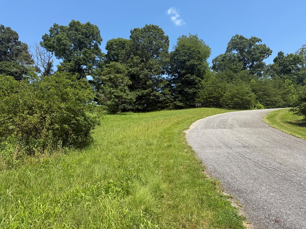 Lot 52 The Preserve At Cc