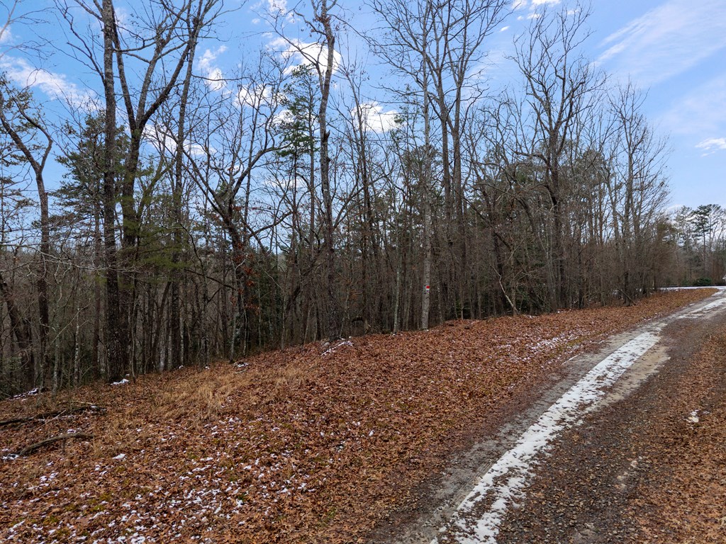 TR4 Curtis Ridge Road