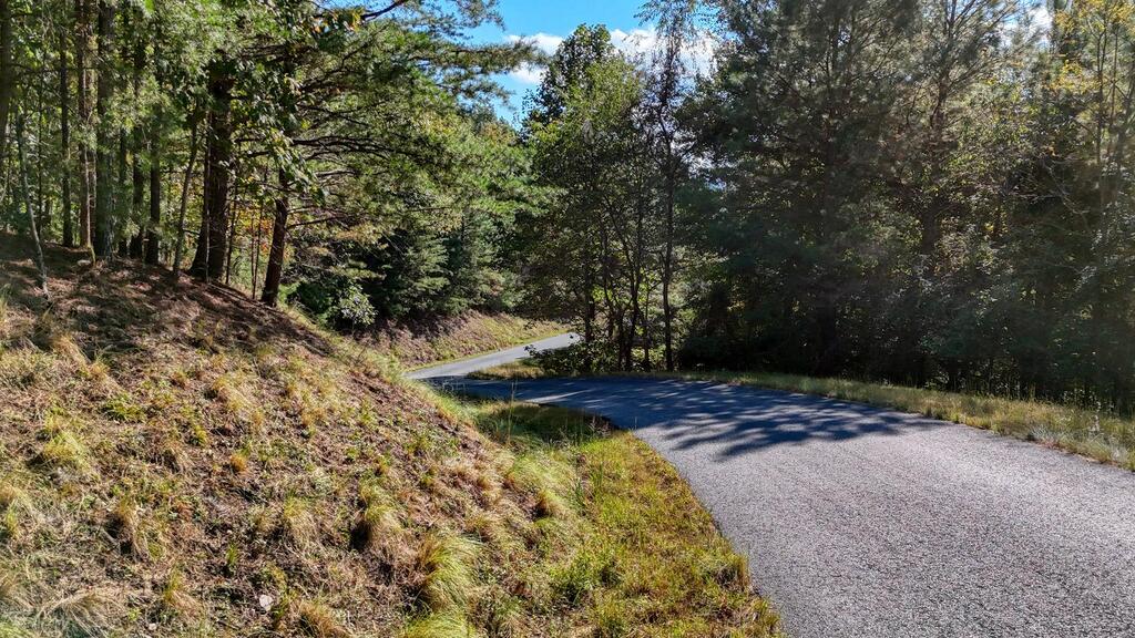 Lot 83 Tree Line Drive