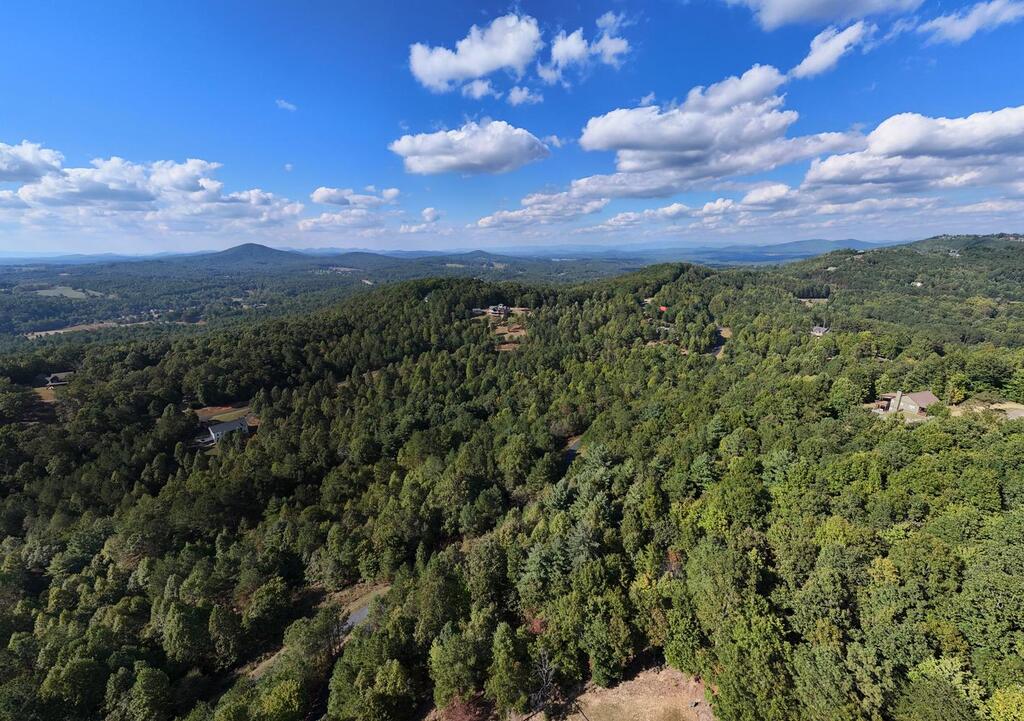 Lot 83 Tree Line Drive