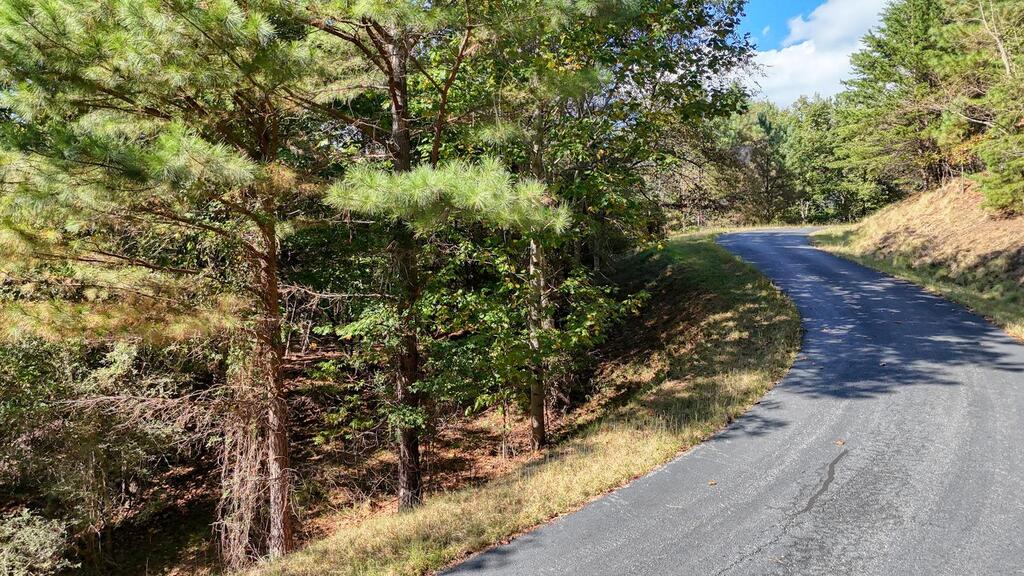 Lot 83 Tree Line Drive