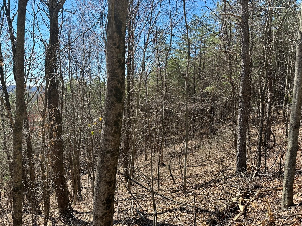 Tract 2 Stevens Ridge Road