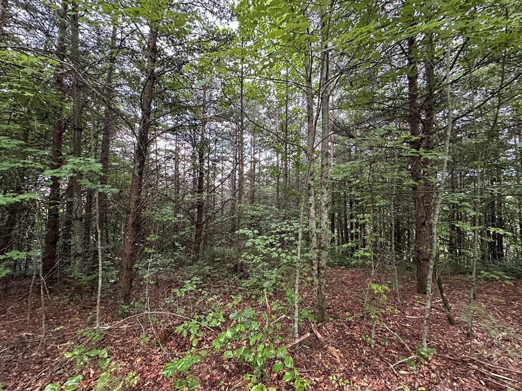 Tract 2 Stevens Ridge Road