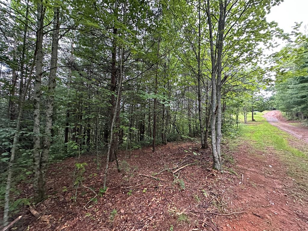 Tract 2 Stevens Ridge Road