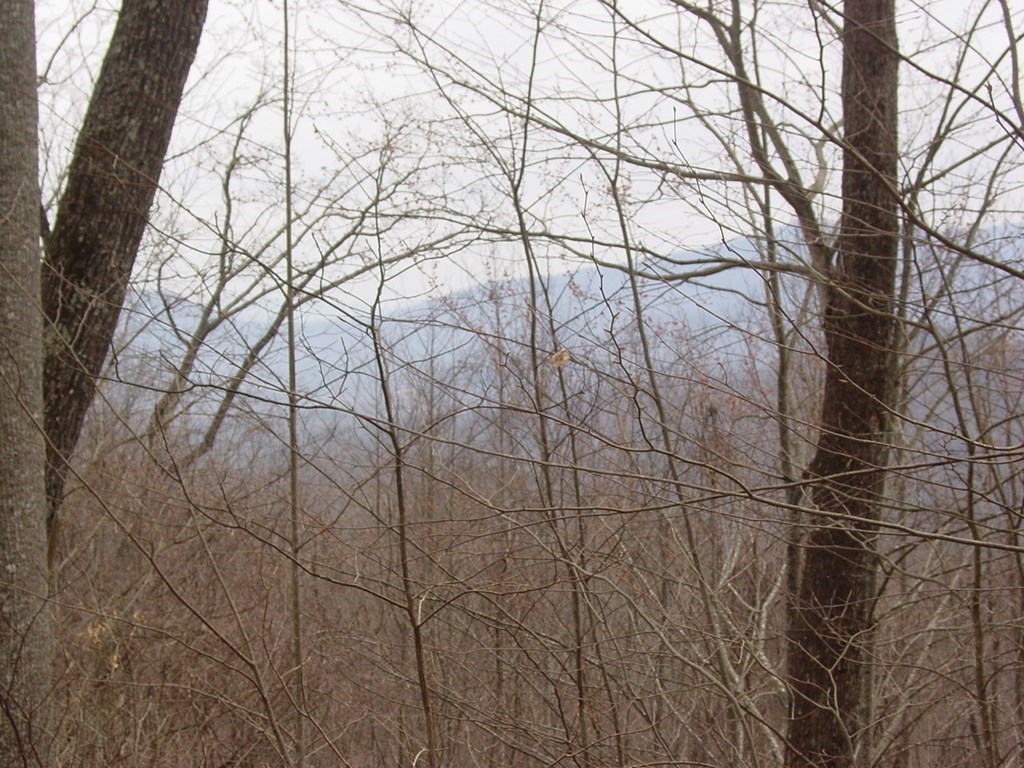 #28 Overlook Loop