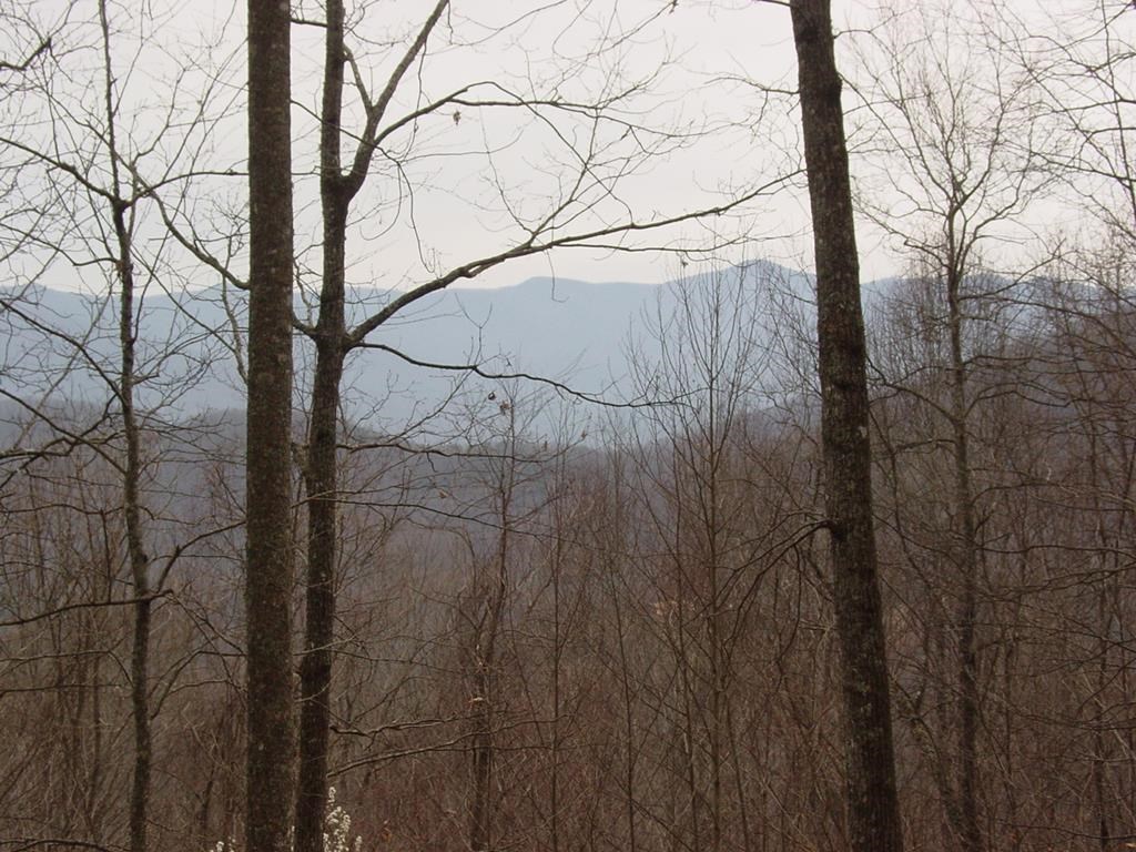 #28 Overlook Loop