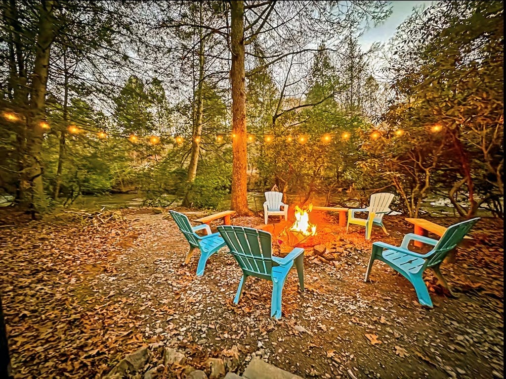 252 Branch Creek Road