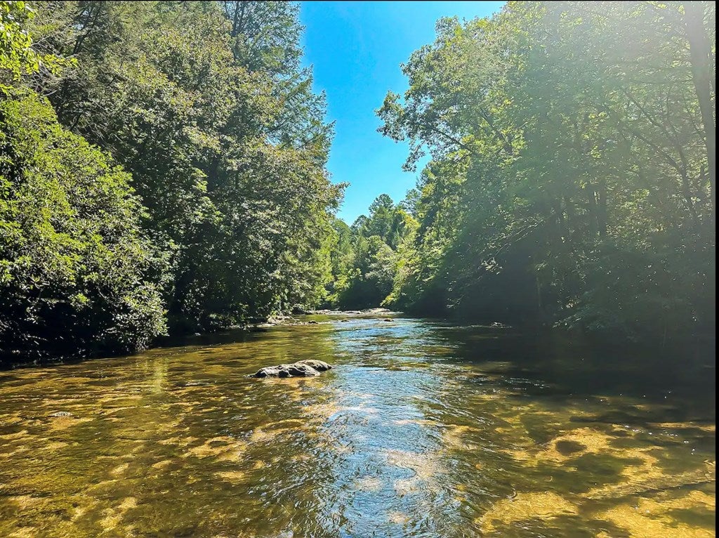 252 Branch Creek Road