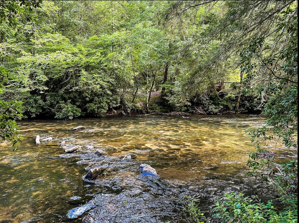 252 Branch Creek Road