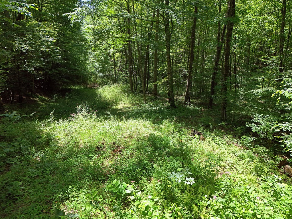 Lt15/15A Hightower Ridge