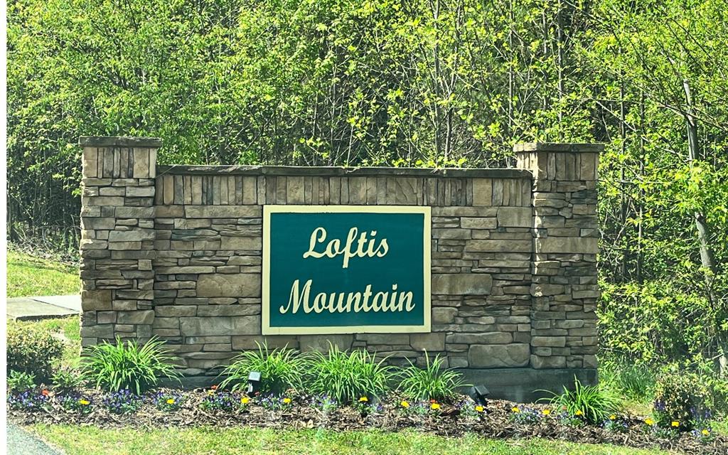 37 Loftis Mountain