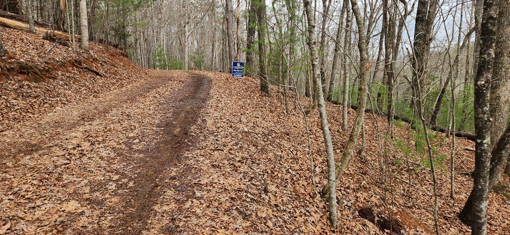 Lot 13 Mangums Trail