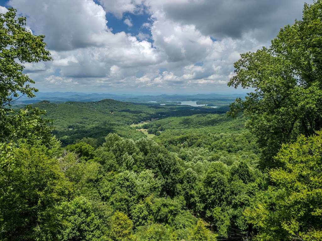 889 Chestnut Ridge