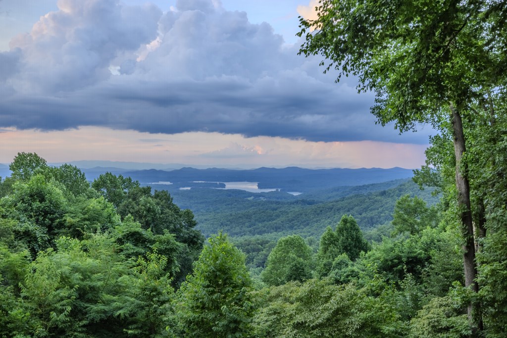 889 Chestnut Ridge