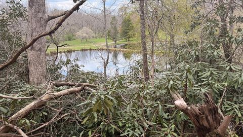 #9 Mill Creek Hollow Hayesville NC 28904