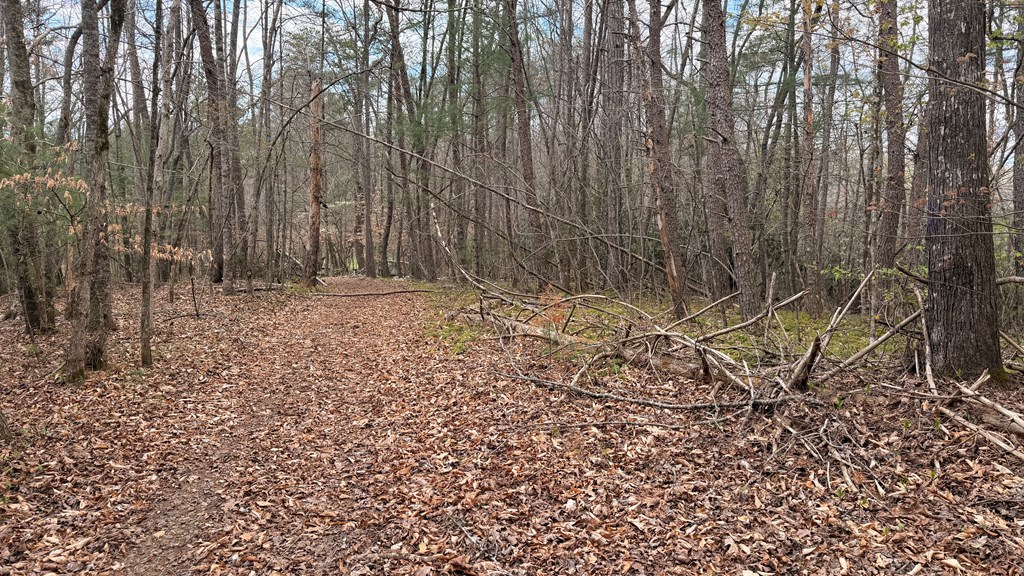 #9 Mill Creek Hollow