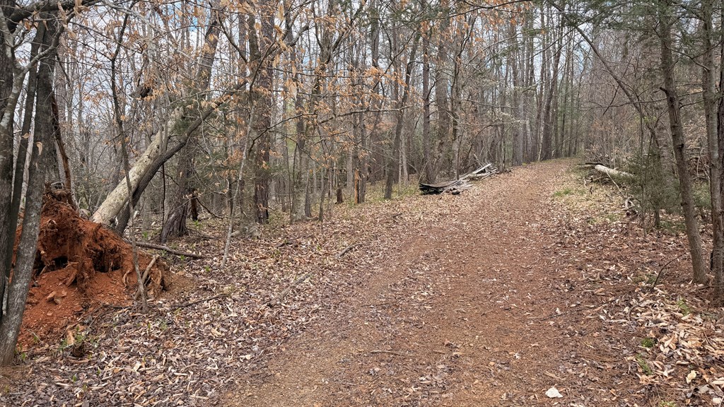 #9 Mill Creek Hollow