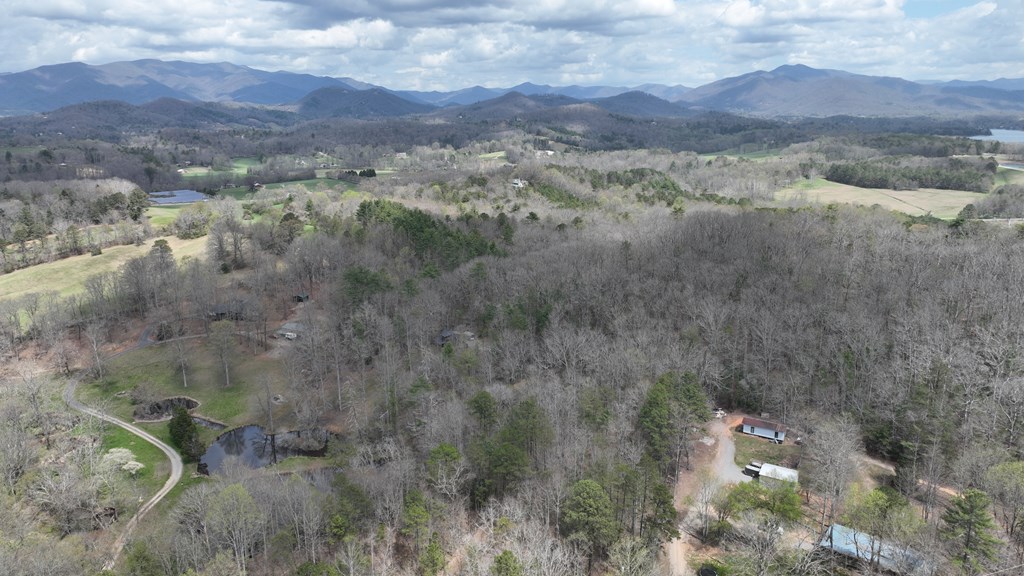 #9 Mill Creek Hollow