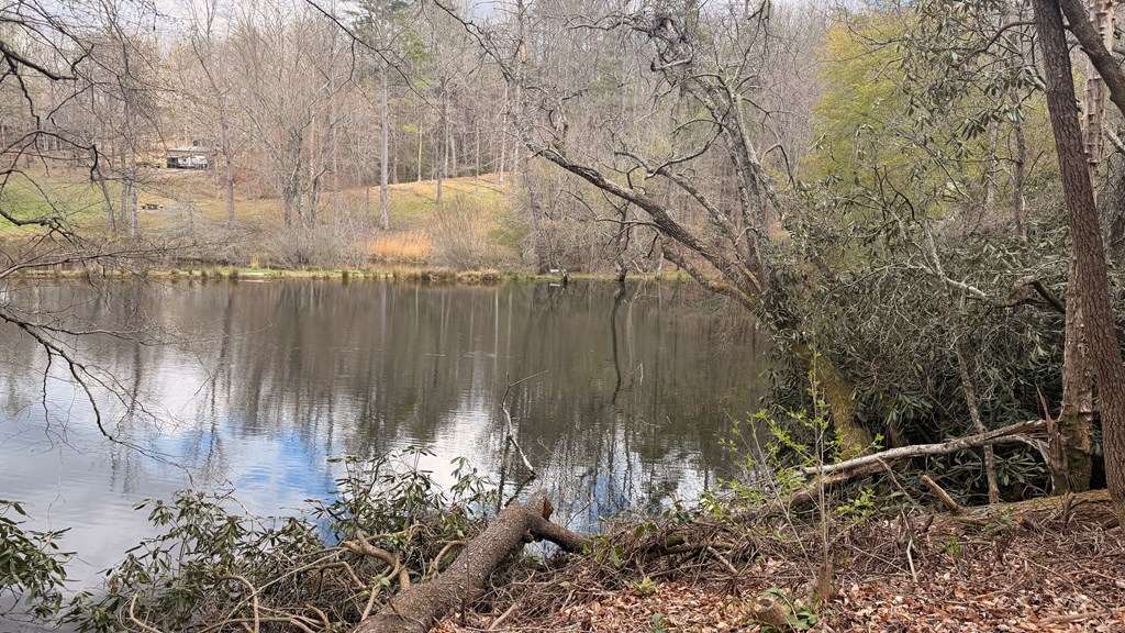 #9 Mill Creek Hollow