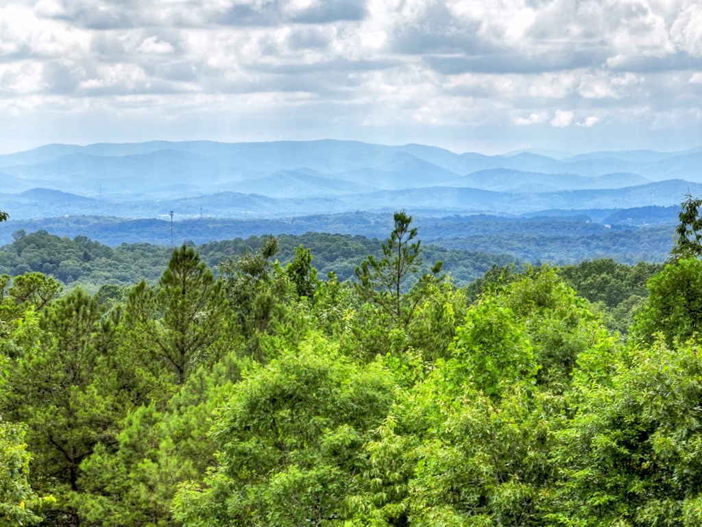 458 Blue Berry Ridge