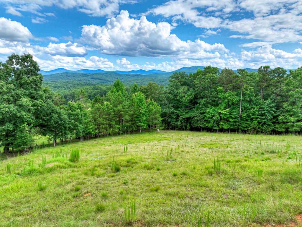 458 Blue Berry Ridge