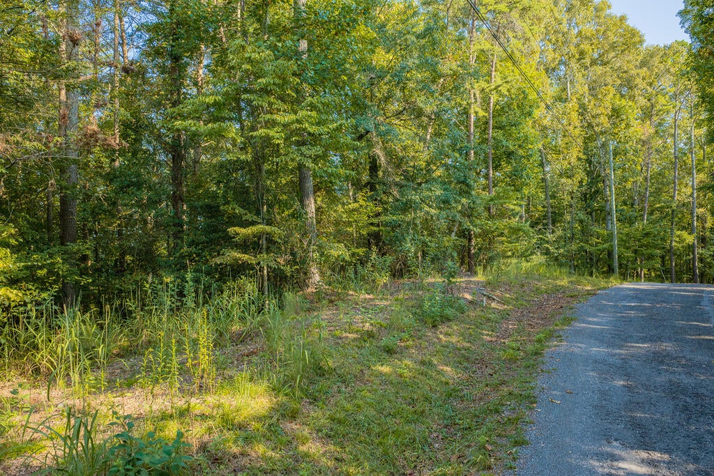 Lot 1709 Rebekah Ridge Road