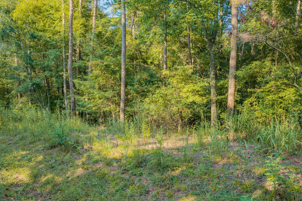 Lot 1709 Rebekah Ridge Road